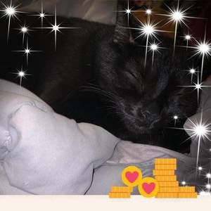 Meet your Posher, Davette